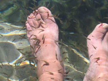 Santo Niño Cold Spring