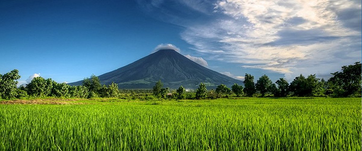 Mayon