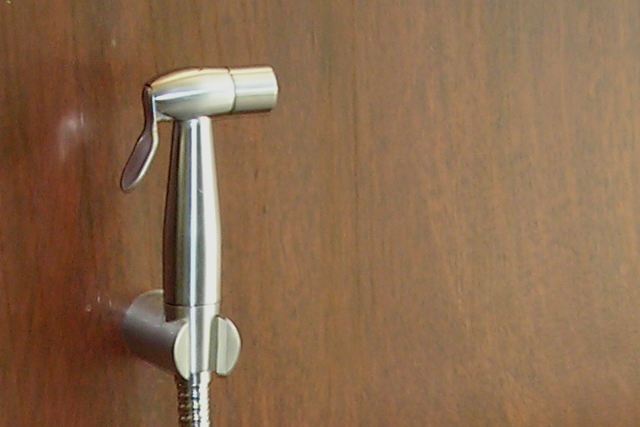 The bidet shower, wash your butt The bidet shower, wash your butt
