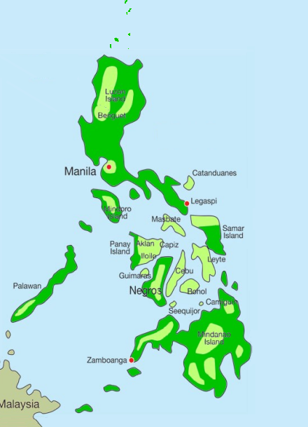 Typhoid fever is endemic all over the Philippines Typhoid fever is endemic all over the Philippines