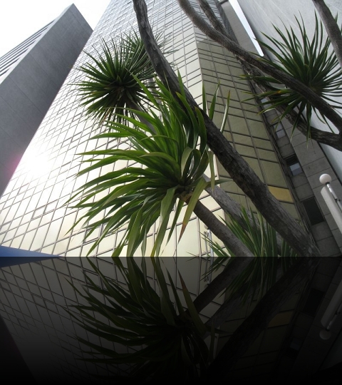 Makati-Reflections-04